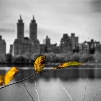 Autumn in New York City