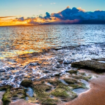 Mossy Rocks FUSION Hawaiian Sunset