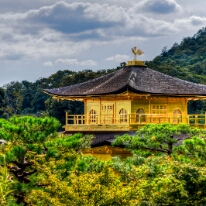Kinkaku Ji 7.0 Kinkakuji Temple