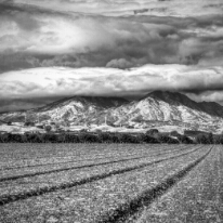 Diablo BW 3 Mt. Diablo