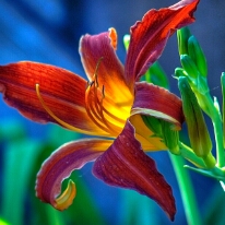 Fire Flower