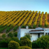 sonoma Sonoma, CA