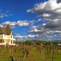 Concannon Vineyards - Livermore, CA