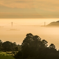 Misty Bay - Golden Gate
